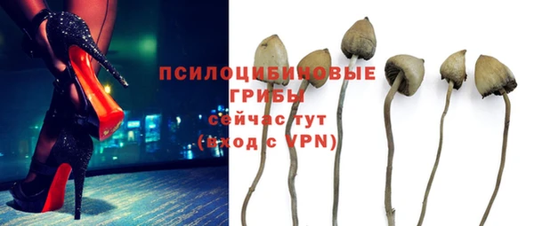 таблы Алзамай