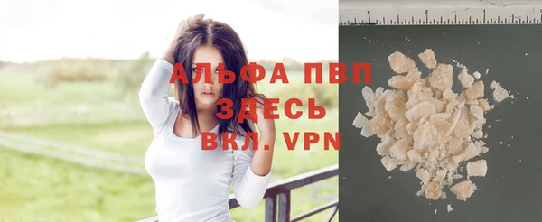 стафф Алексин