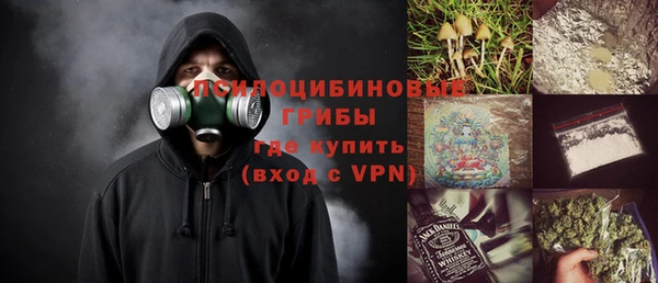 стафф Алексин
