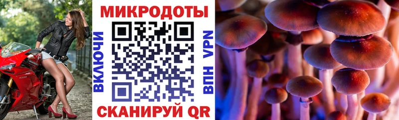 Галлюциногенные грибы прущие грибы  даркнет сайт  mega ссылки  Ипатово 