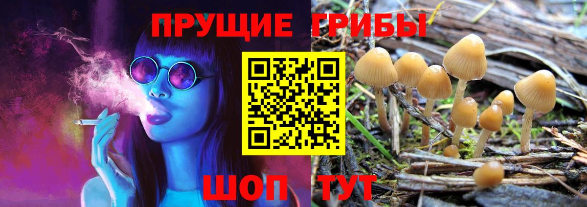 Псилоцибиновые грибы MAGIC MUSHROOMS Ипатово
