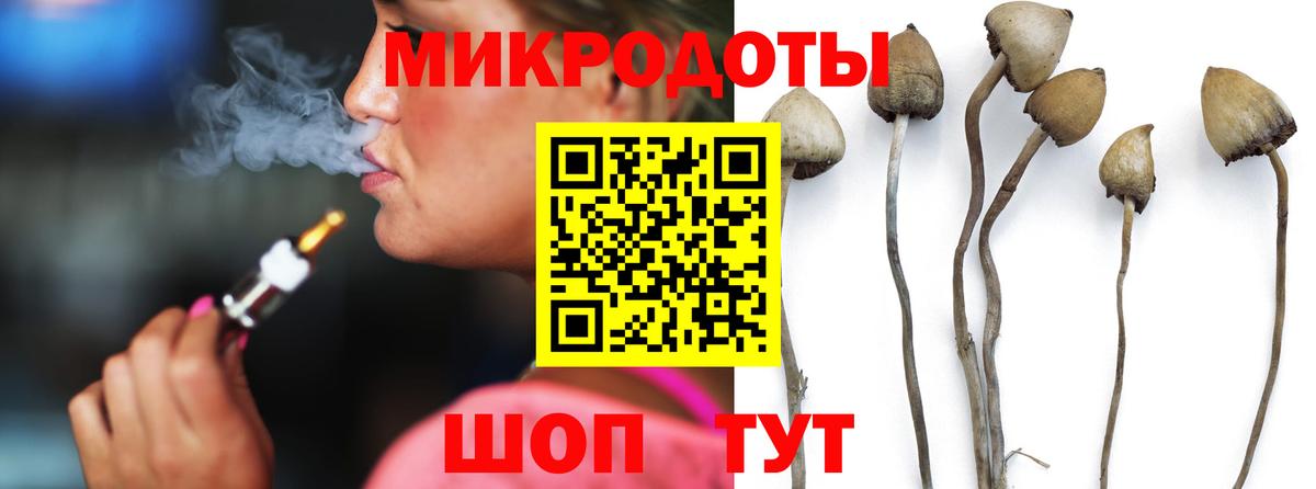 Ипатово  Галлюциногенные грибы Magic Shrooms  Вход с VPN  Галлюциногенные грибы GOLDEN TEACHER 